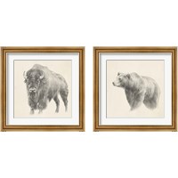 Framed Western Bear Study 2 Piece Framed Art Print Set
