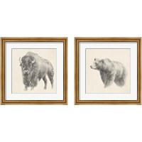Framed 'Western Bear Study 2 Piece Framed Art Print Set' border=