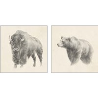 Framed Western Bear Study 2 Piece Art Print Set