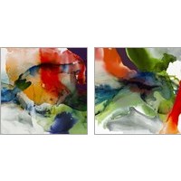 Framed 'Vibrant Terrain 2 Piece Art Print Set' border=