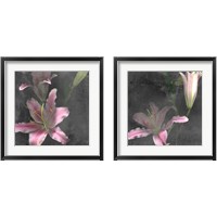 Framed Fleur de Lys 2 Piece Framed Art Print Set