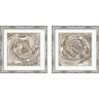 Framed Silver & Gold 2 Piece Framed Art Print Set