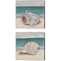 Framed 'She Sells Seashells 2 Piece Canvas Print Set' border=