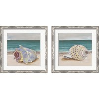 Framed She Sells Seashells 2 Piece Framed Art Print Set