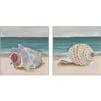 Framed 'She Sells Seashells 2 Piece Art Print Set' border=