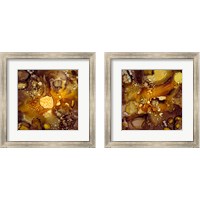 Framed Chestnut Illumination 2 Piece Framed Art Print Set