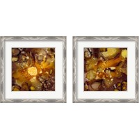 Framed 'Chestnut Illumination 2 Piece Framed Art Print Set' border=