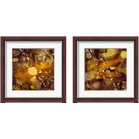 Framed Chestnut Illumination 2 Piece Framed Art Print Set