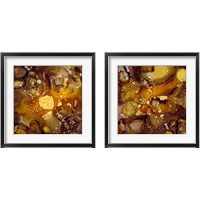 Framed Chestnut Illumination 2 Piece Framed Art Print Set