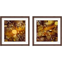 Framed 'Chestnut Illumination 2 Piece Framed Art Print Set' border=