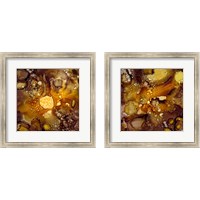 Framed 'Chestnut Illumination 2 Piece Framed Art Print Set' border=