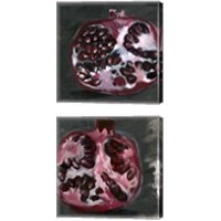 Framed 'Pomegranate Study on Black 2 Piece Canvas Print Set' border=
