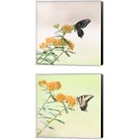 Framed 'Butterfly Portrait 2 Piece Canvas Print Set' border=