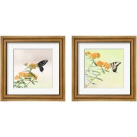 Framed 'Butterfly Portrait 2 Piece Framed Art Print Set' border=