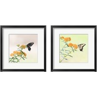 Framed Butterfly Portrait 2 Piece Framed Art Print Set