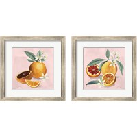 Framed Orange Blossom  2 Piece Framed Art Print Set