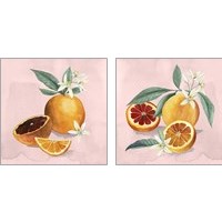 Framed Orange Blossom  2 Piece Art Print Set