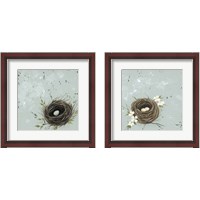 Framed 'Flower Nest 2 Piece Framed Art Print Set' border=