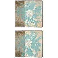 Framed 'Flower Flake 2 Piece Canvas Print Set' border=
