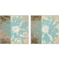 Framed 'Flower Flake 2 Piece Art Print Set' border=