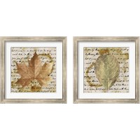 Framed 'Earth Leaf  2 Piece Framed Art Print Set' border=