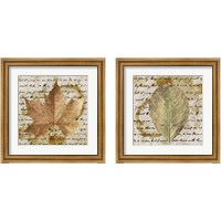 Framed 'Earth Leaf  2 Piece Framed Art Print Set' border=