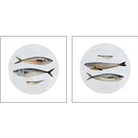 Framed 'Three Fish 2 Piece Art Print Set' border=