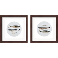 Framed 'Three Fish 2 Piece Framed Art Print Set' border=