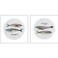 Framed Three Fish 2 Piece Art Print Set