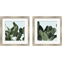 Framed Celadon Palms  2 Piece Framed Art Print Set