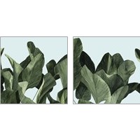 Framed Celadon Palms  2 Piece Art Print Set