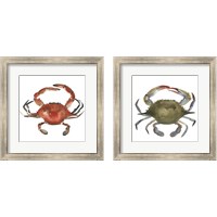Framed 'Watercolor Crab 2 Piece Framed Art Print Set' border=