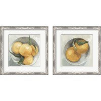 Framed 'Fruit Bowl 2 Piece Framed Art Print Set' border=