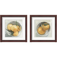 Framed Fruit Bowl 2 Piece Framed Art Print Set