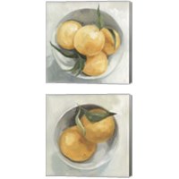 Framed 'Fruit Bowl 2 Piece Canvas Print Set' border=