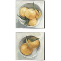 Framed Fruit Bowl 2 Piece Canvas Print Set