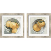 Framed 'Fruit Bowl 2 Piece Framed Art Print Set' border=