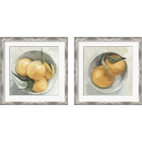 Framed 'Fruit Bowl 2 Piece Framed Art Print Set' border=