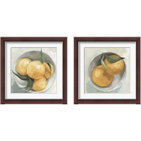Framed 'Fruit Bowl 2 Piece Framed Art Print Set' border=
