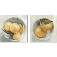 Framed 'Fruit Bowl 2 Piece Art Print Set' border=