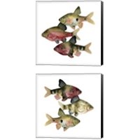 Framed 'Rainbow Fish 2 Piece Canvas Print Set' border=