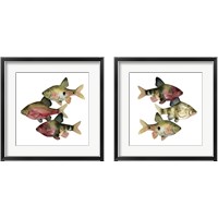 Framed 'Rainbow Fish 2 Piece Framed Art Print Set' border=