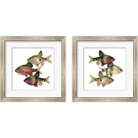 Framed Rainbow Fish 2 Piece Framed Art Print Set