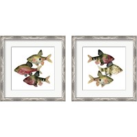 Framed 'Rainbow Fish 2 Piece Framed Art Print Set' border=