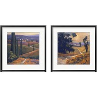 Framed Afternoon  2 Piece Framed Art Print Set