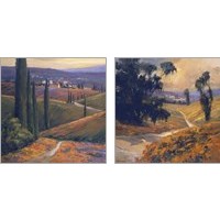 Framed 'Afternoon  2 Piece Art Print Set' border=