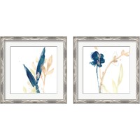 Framed 'Botany Gesture 2 Piece Framed Art Print Set' border=