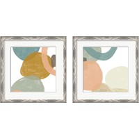 Framed 'Platelet  2 Piece Framed Art Print Set' border=