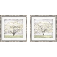Framed 'Barn Tree 2 Piece Framed Art Print Set' border=