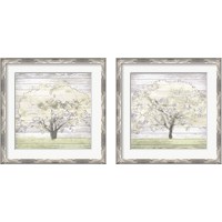Framed 'Barn Tree 2 Piece Framed Art Print Set' border=